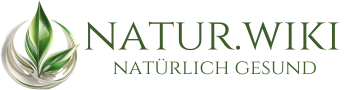 Willkommen beim führenden deutschsprachigen Magazin für Naturheilkunde, der Anlaufstelle für Themen rund um die natürliche Gesundheit. Bei Natur.wiki finden Sie sorgfältig recherchierte Artikel, aktuelle wissenschaftliche Erkenntnisse und praktische Ratschläge im Bereich der Naturheilkunde. Gestützt durch aktuelle Forschungen, bieten wir Ihnen das vollständige Wissen der natürlichen Gesundheit.